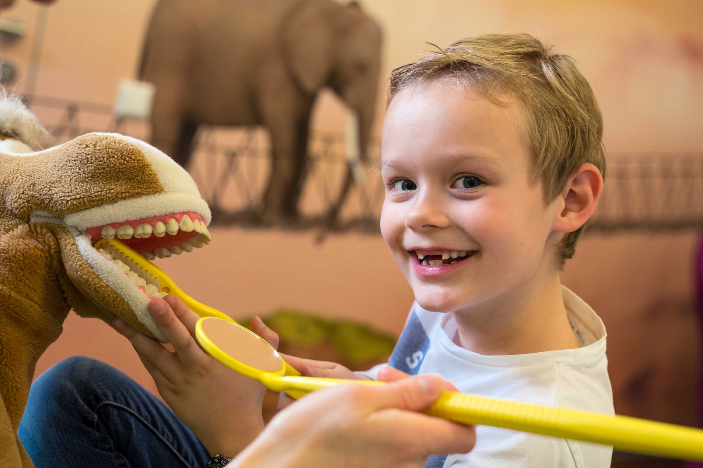 Kind übt mit Stofftier das korrekte Zähneputzen