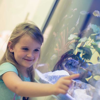 Mädchen vor dem Aquarium bei Dentalkids